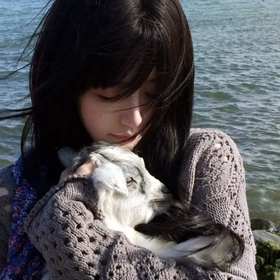 凤栖凤息回故乡