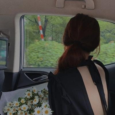 黑玫瑰与天才操盘手